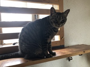 20180815