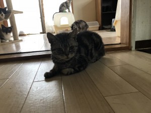 20180813
