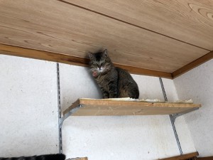 20190503