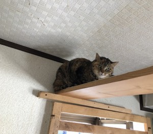 20190423