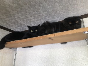 世田谷区サンペイ　1007