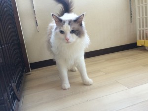 横浜市　リク