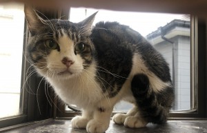 中野区　ちー