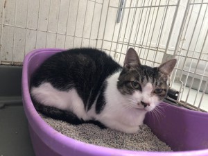大阪市　エリちゃん